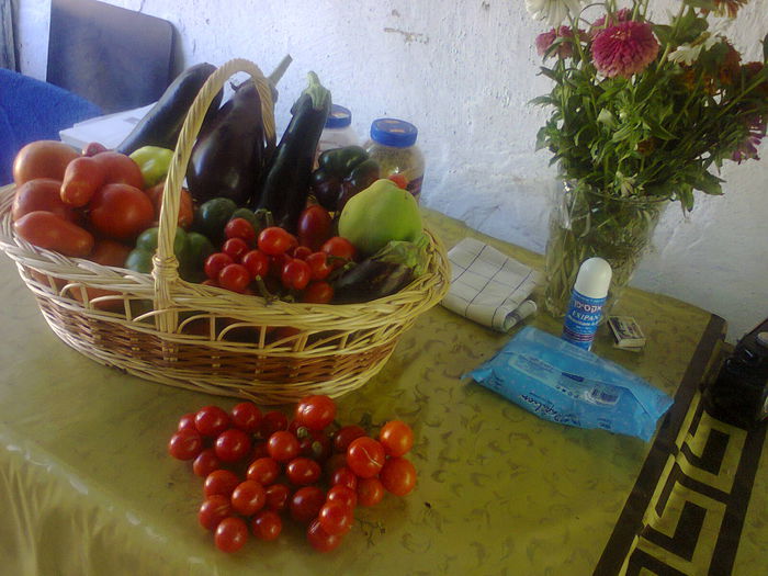 Photo0273