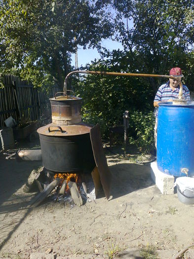 SI CEVA RACHIU DIN FRUCTE PENTRU LICHIORURI