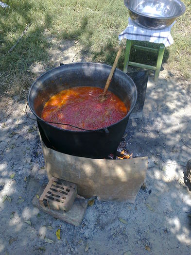 SOS PICANT 14 BORCANU