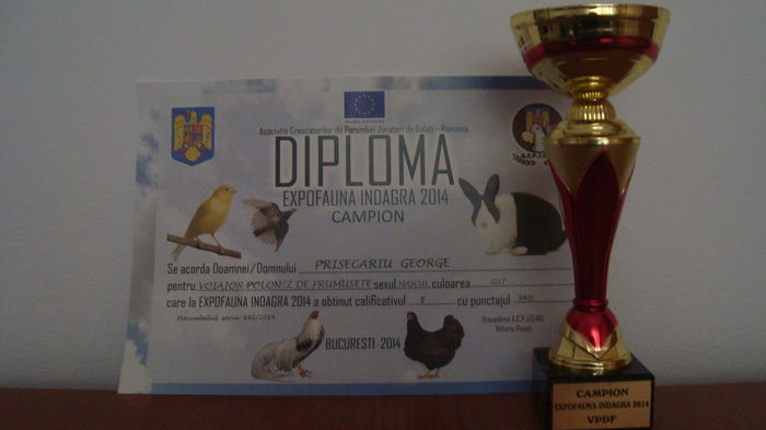 DSC03032 - Campion Indagra 2014 nov - cupa si diploma