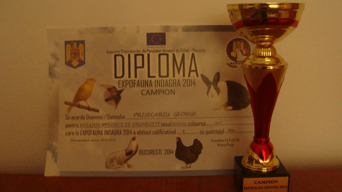 DSC03034 - Campion Indagra 2014 nov - cupa si diploma