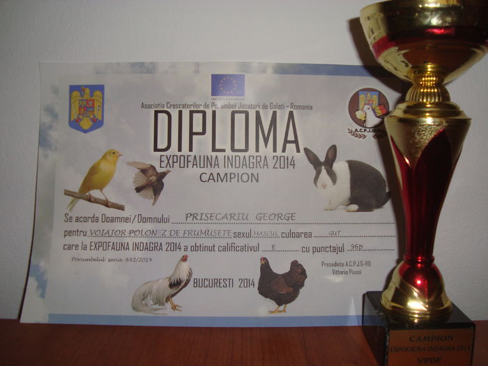 DSC03037 - Campion Indagra 2014 nov - cupa si diploma