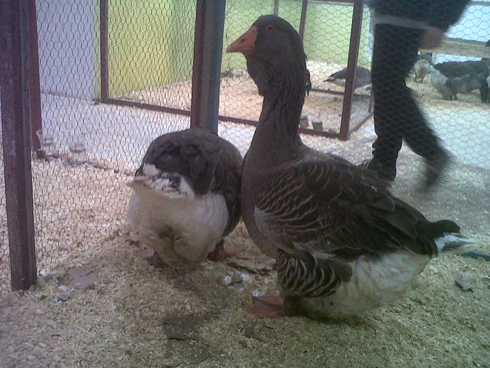 IMG02073-20141129-1445