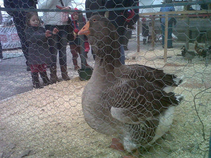 IMG02077-20141129-1446