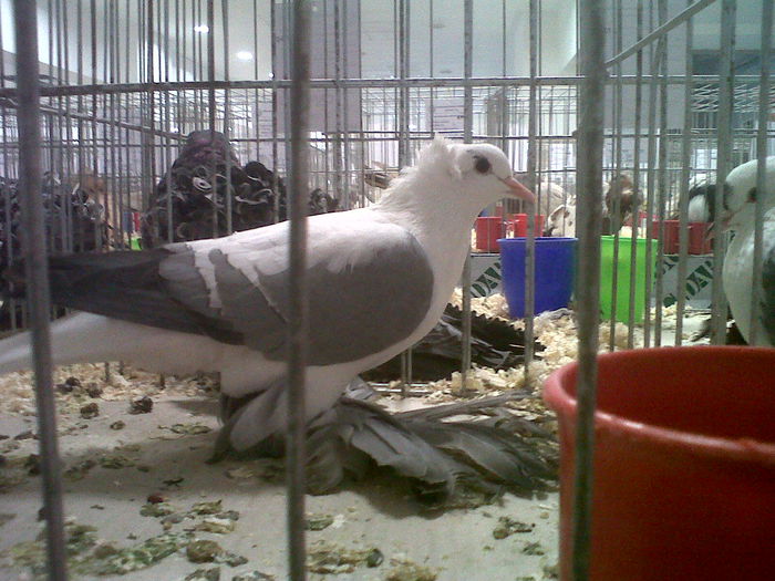 IMG02120-20141129-1453