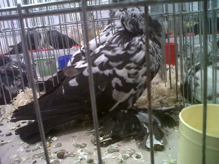 IMG02125-20141129-1455