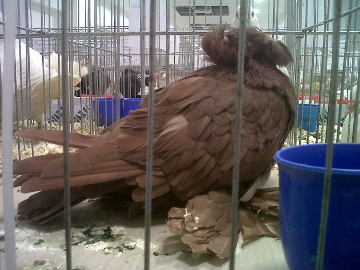 IMG02126-20141129-1455