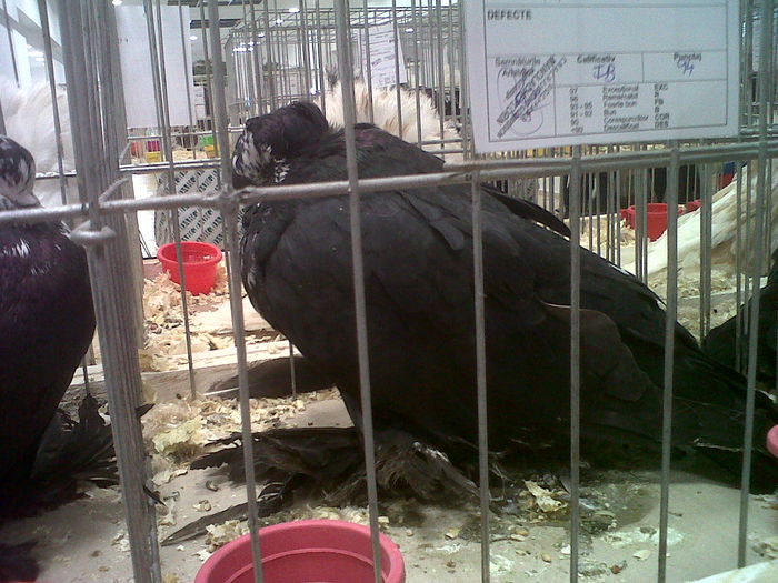 IMG02099-20141129-1450