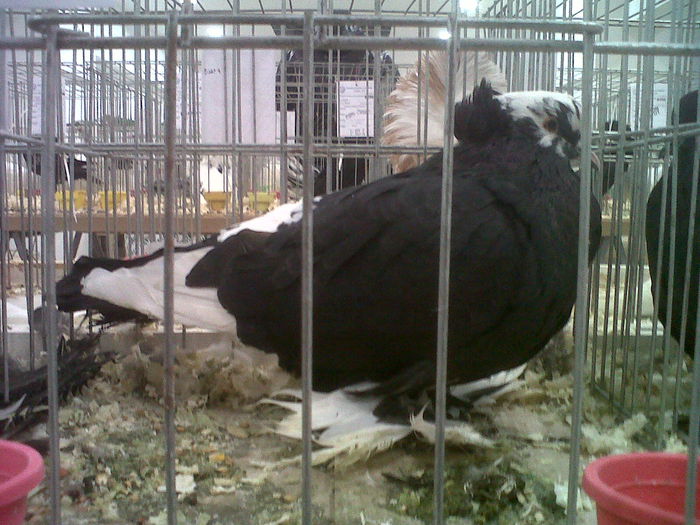 IMG02102-20141129-1450