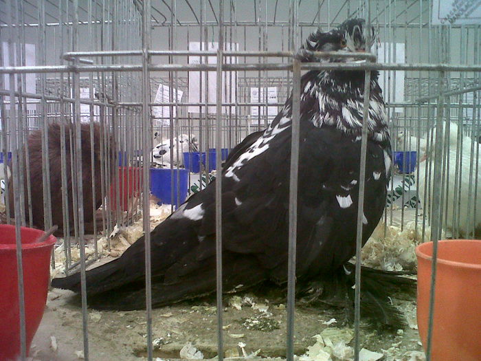 IMG02104-20141129-1451