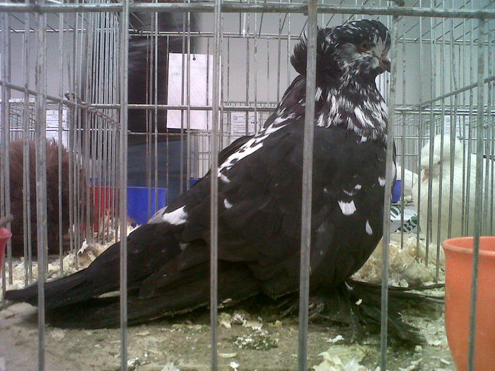 IMG02105-20141129-1451