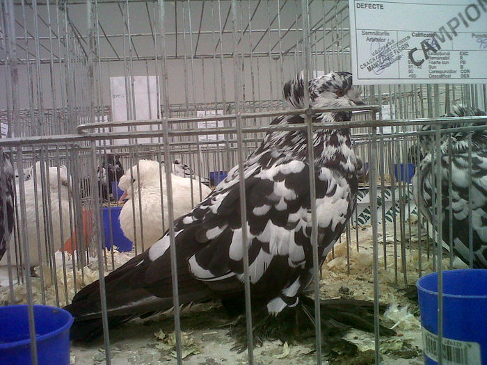 IMG02106-20141129-1451