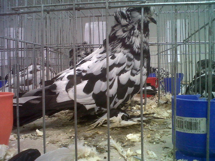 IMG02108-20141129-1451