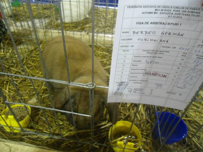 10801554_1511077499159169_6721776865113425182_n