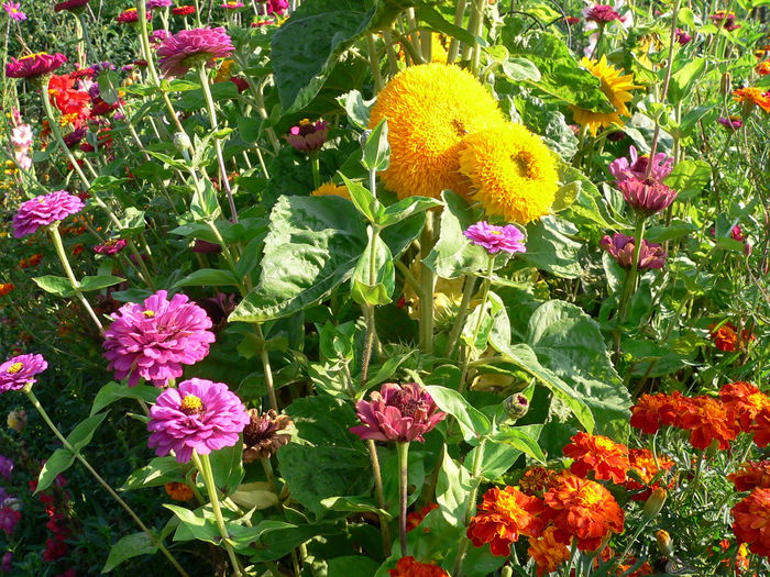 P1050475