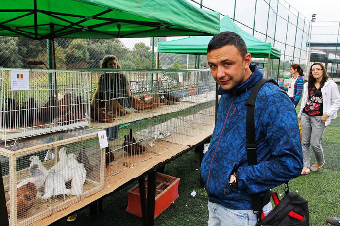 expo_calarasi_2014-18 - Calarasi - Editia I a Targului expozitional regional de porumbei pasari si animale mici de rasa