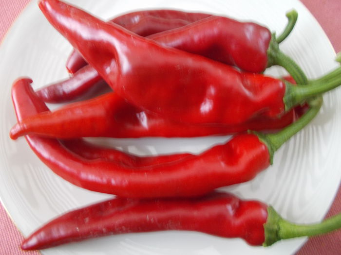 ANNAHEIM - SEMINTE ARDEI IUTE CHILI