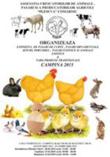 EXPO-CAMPINA 2015 - c Expo - Campina 30 ianuarie - 01 februarie 2015