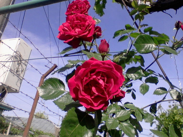 my photo 096
