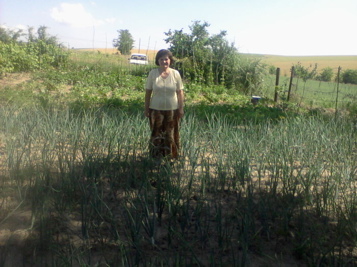 my photo 097