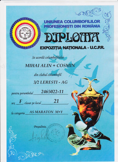 loc 21 As Maraton - 2014