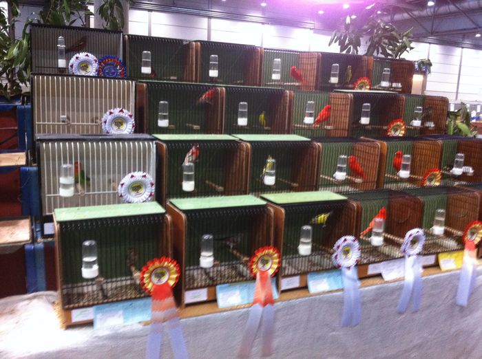 IMG_1454 - expo 2014 Leipzig