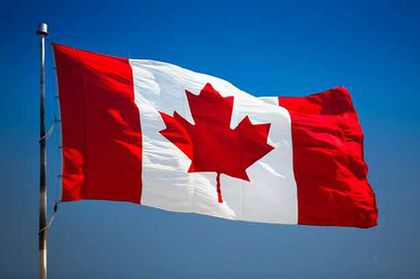 Canada - Diaspora RO-vot 2014 _ stiri diverse