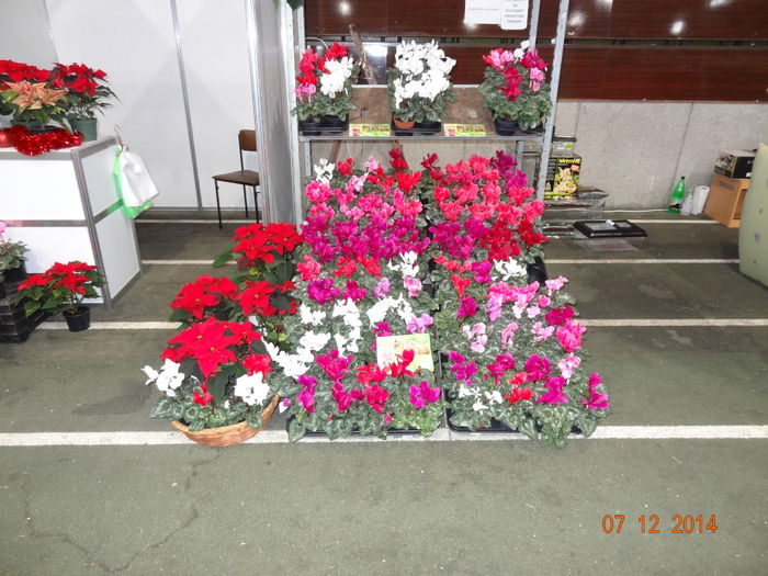 DSC03901