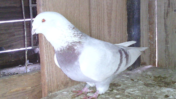 12m2013