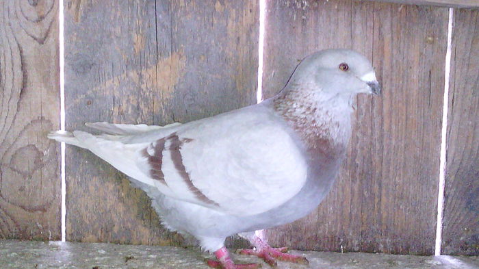 15f2014