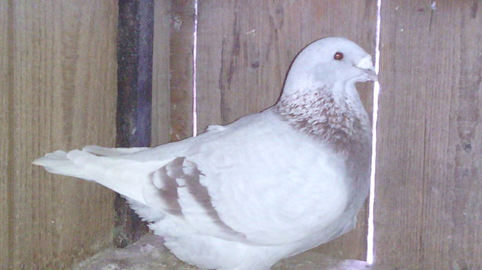 124