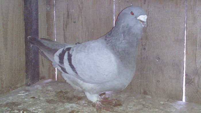 26m2011