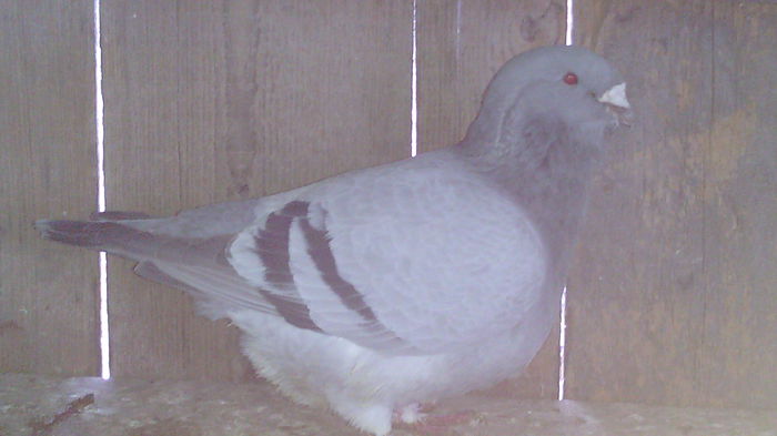 159