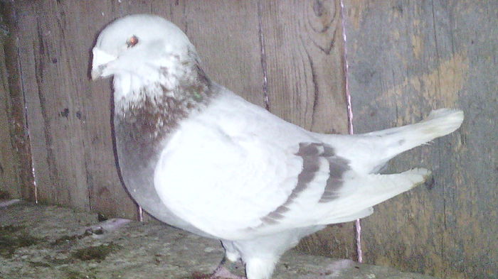 191
