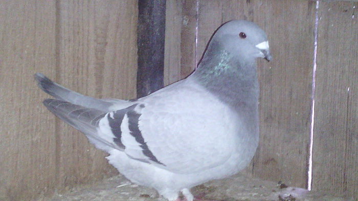 203