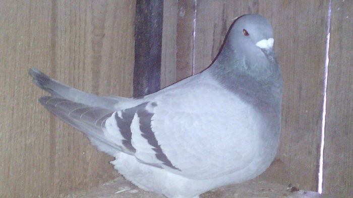 205