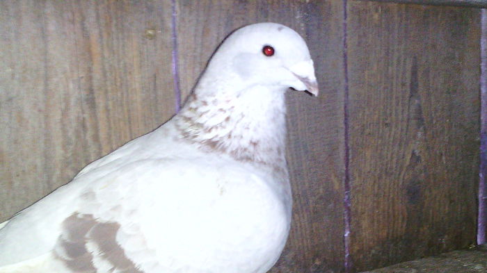 228