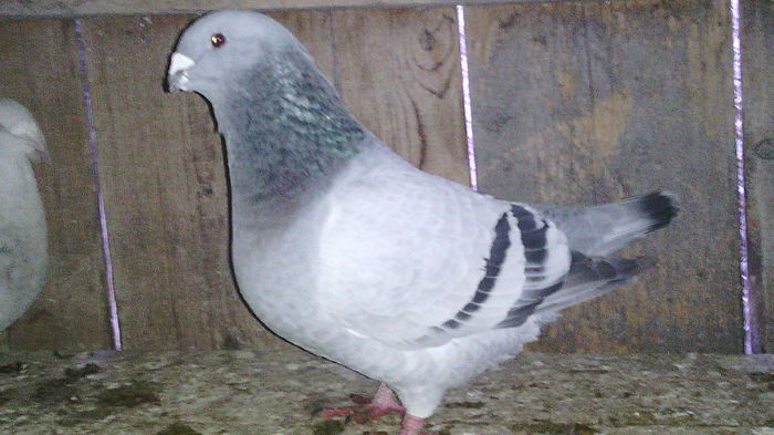 234