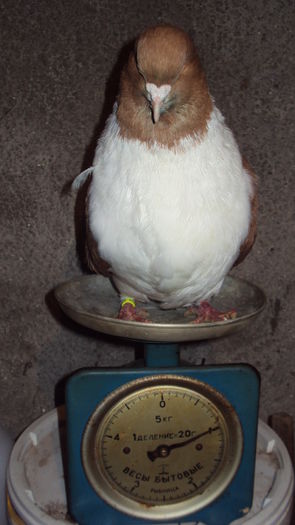 e masluit...trebuia peste chill :))