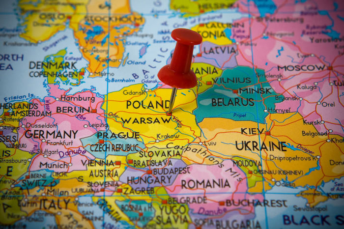 Poland army - Diaspora RO-vot 2014 _ stiri diverse