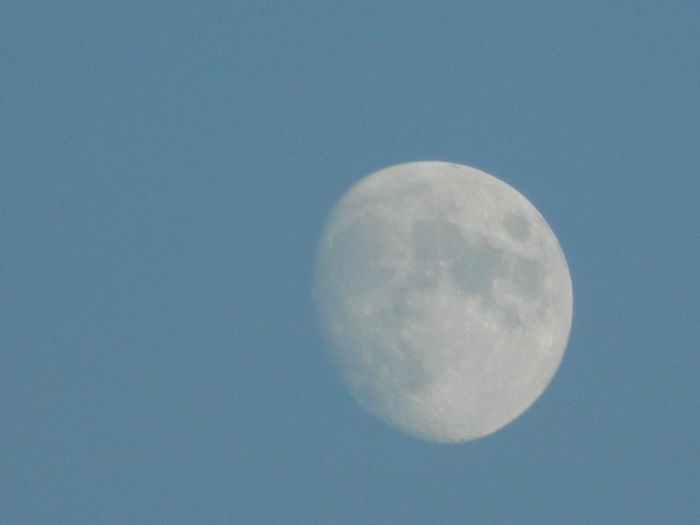 DSCN5327