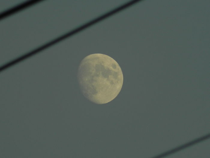 DSCN5333