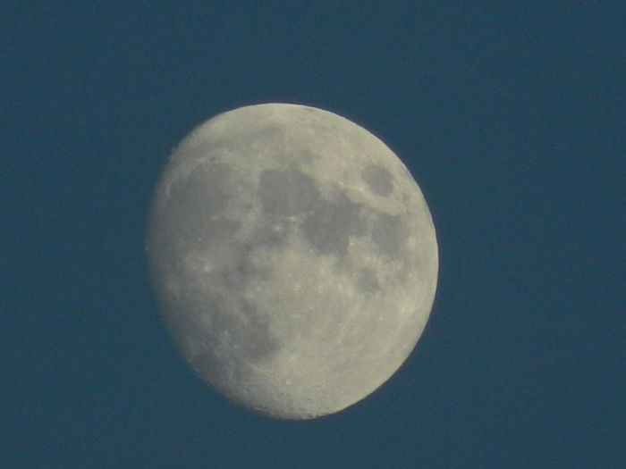DSCN5357 - DECEMBRIE_2014