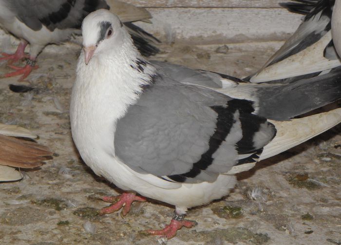PC070125