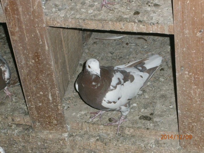 PC090072