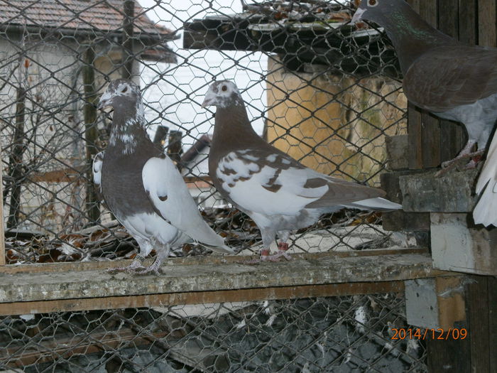 PC090078
