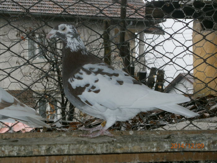 PC090105