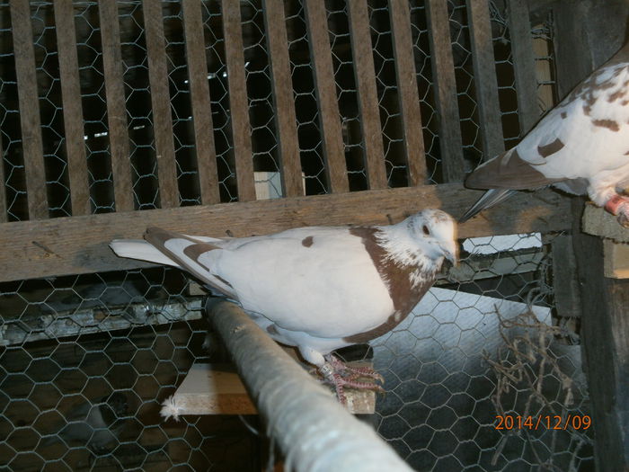 PC090115