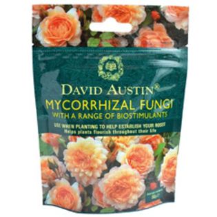 Mycorrhizal Fungi - TRANDAFIRI ENGLEZESTI - David Austin