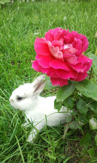 2014-06-13 18.57.08